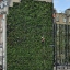 The Green Wall grows at The Rubens at the Palace